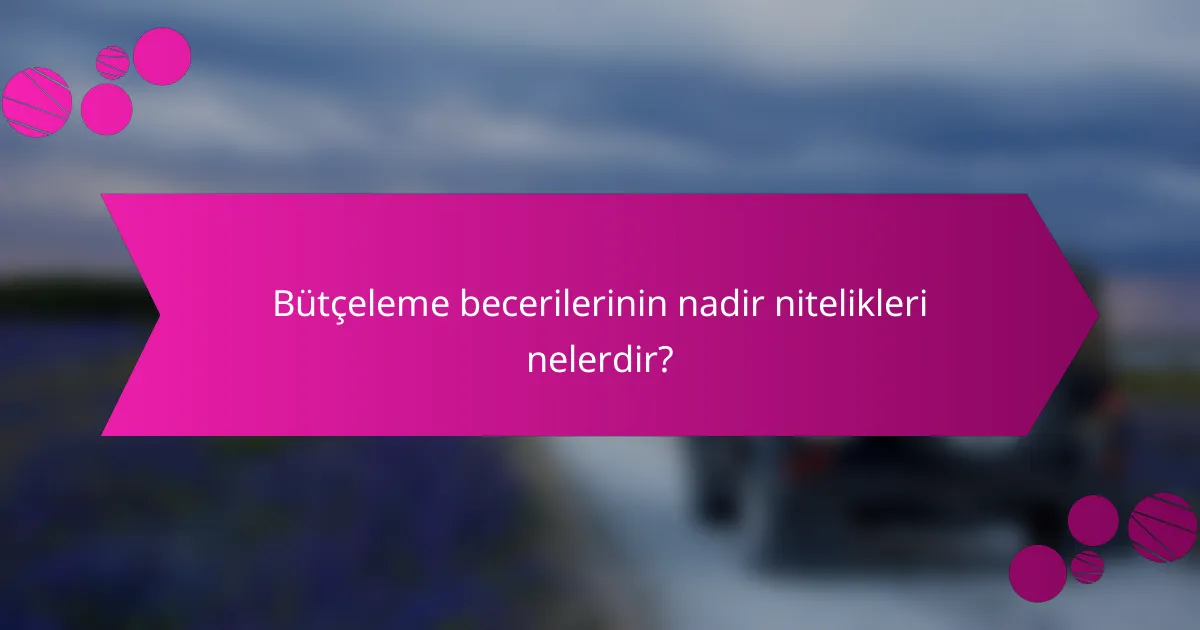 Bütçeleme becerilerinin nadir nitelikleri nelerdir?